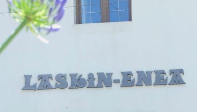 LASKIN-ENEA