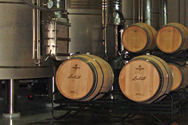 Interior de la bodega
