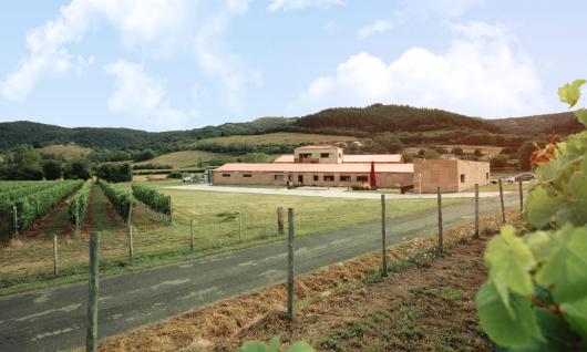 Artomaa Txakolina