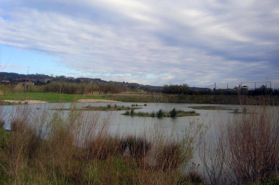 Plaiaundi