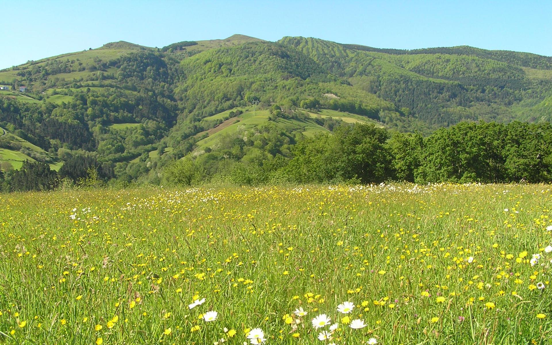 Pagoetako Parke Naturala
