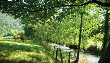 Sentier de la rivière Lea