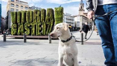 Vitoria-Gasteiz con perro