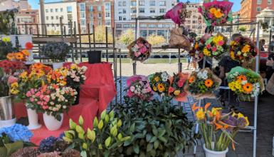 Marché aux fleurs de l’Arenal