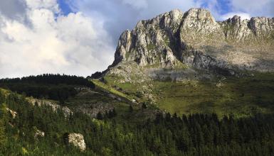 Parc Naturel de Gorbeia