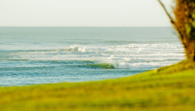 Surf