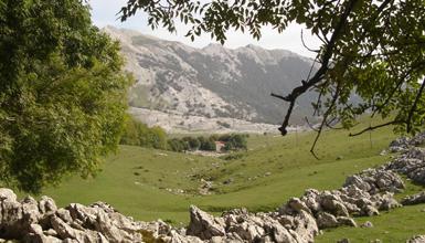 Campas de Urbia