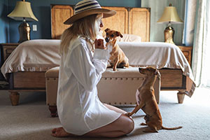 Alojamientos dog friendly