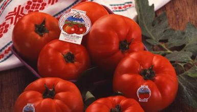 Tomates de calidad del País Vasco