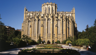 Katedral berria