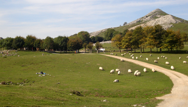 Aizkorri-Aratz parke naturalean